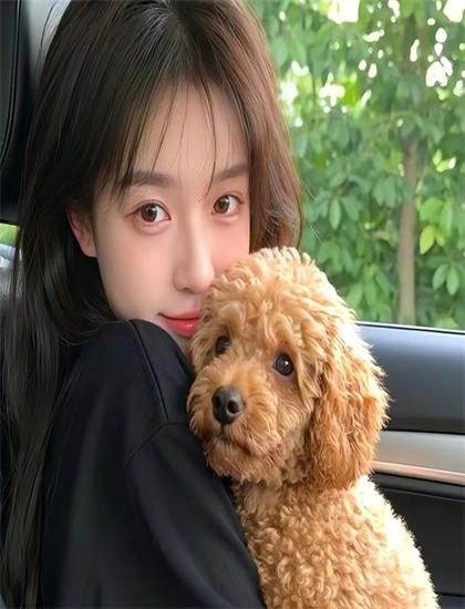 人物深度分析：《机组乘务员》中的衍生的产品开发与产业链 认识表演艺术的价值